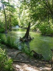 Medina River Natural Area