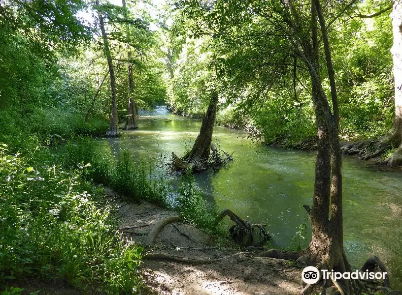 Medina River Natural Area