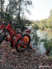 Bellingen Nature Bike Rides