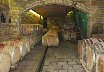 Rojac Istra Slovenija Winery