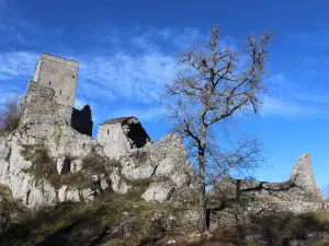 Castle de Bramevaque