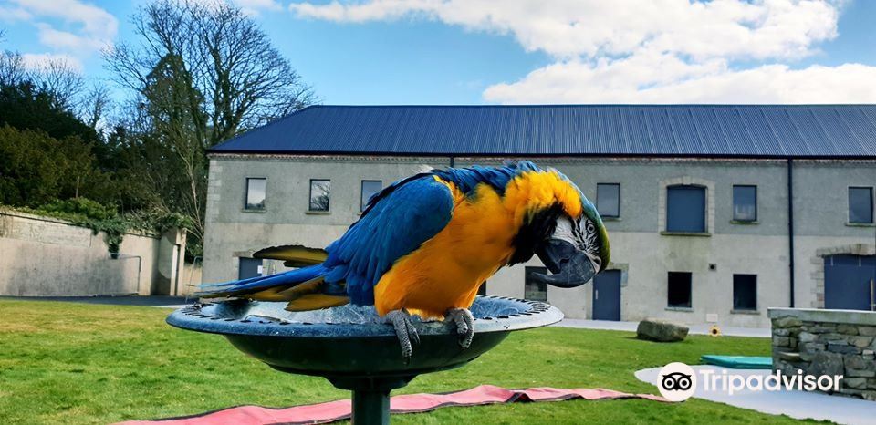 Mountpanther Farm Park