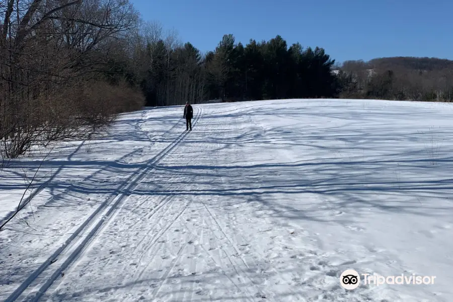 Hickory Hills Ski Area