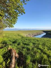 Campbell Creek Estuary Park