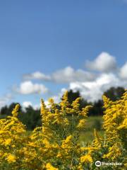 Upper Credit Conservation Area