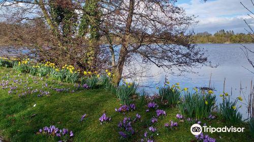 Lurgan Park