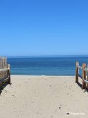 Ballston Beach