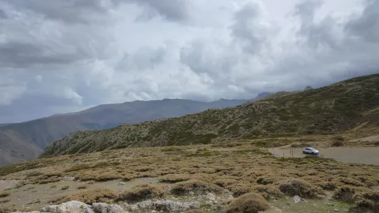 Mirador Ahi De Cara