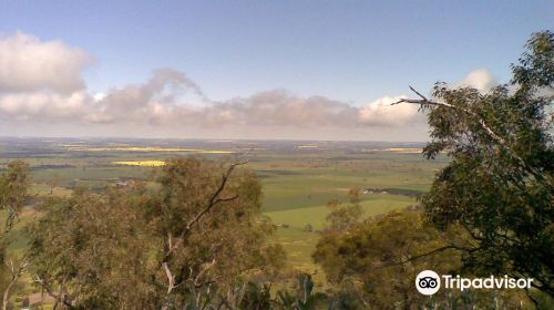 The Rock Nature Reserve - Kengal Aboriginal Place