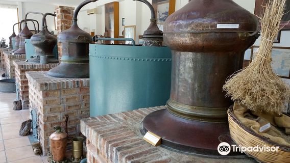 Greek Ouzo Barbayanni (The Museum)