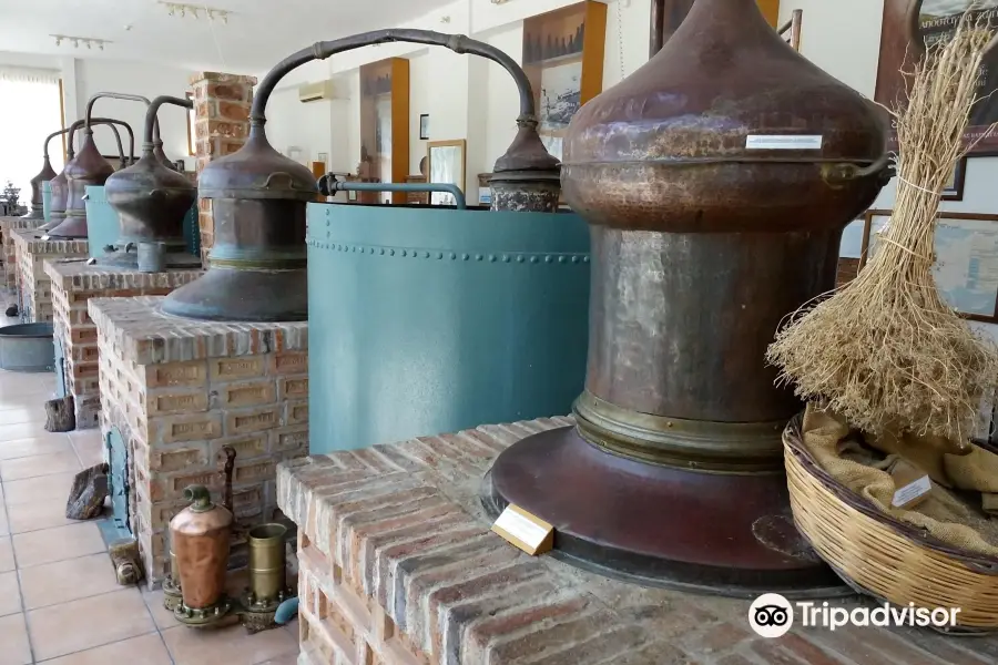 Greek Ouzo Barbayanni (The Museum)