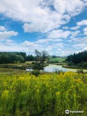 Cold Creek Conservation Area