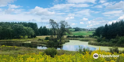Cold Creek Conservation Area