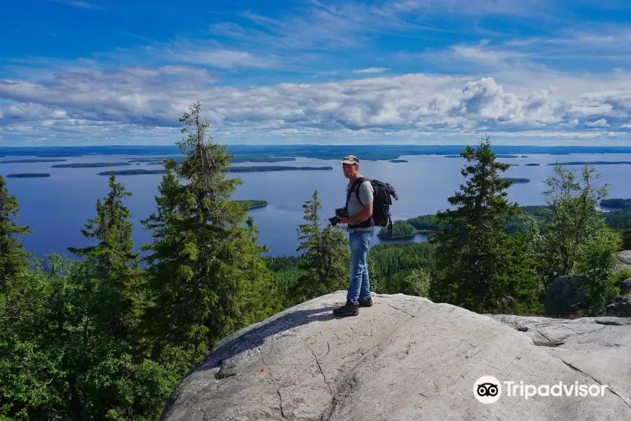 Ukko-Koli Hill