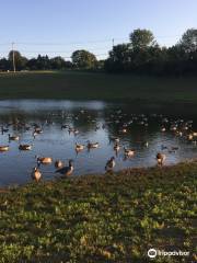 Westminster Community Pond