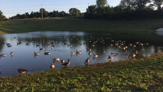 Westminster Community Pond