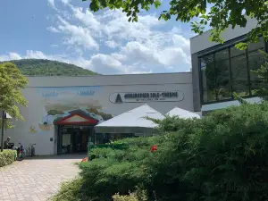 Bad Harzburger Sole-Therme (Thermal Baths)