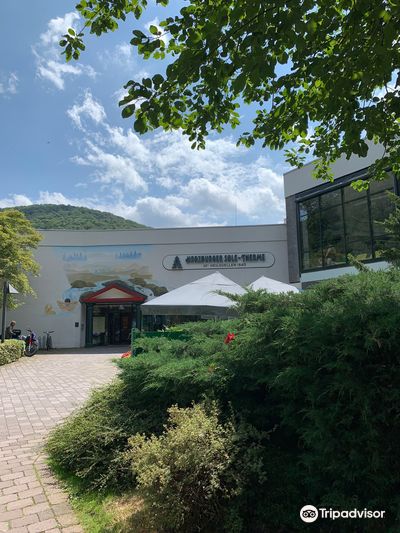 Bad Harzburger Sole-Therme (Thermal Baths)