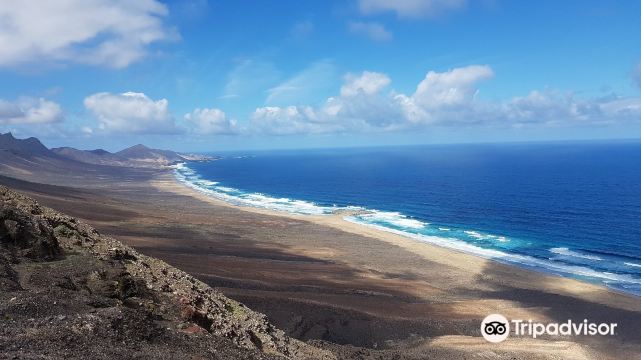 Mirador de los canarios