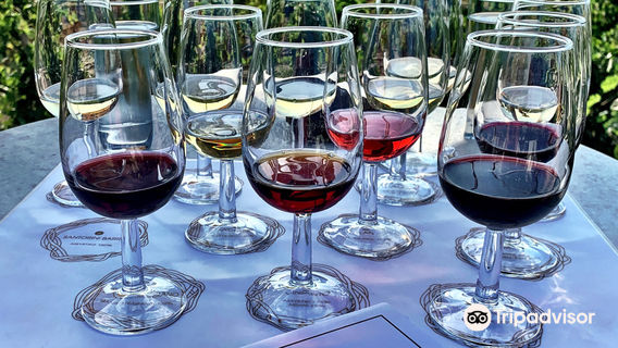 Liquor Culture Experiences in Santorini