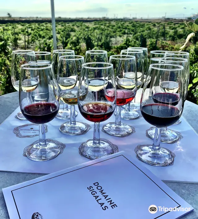 Liquor Culture Experiences in Santorini