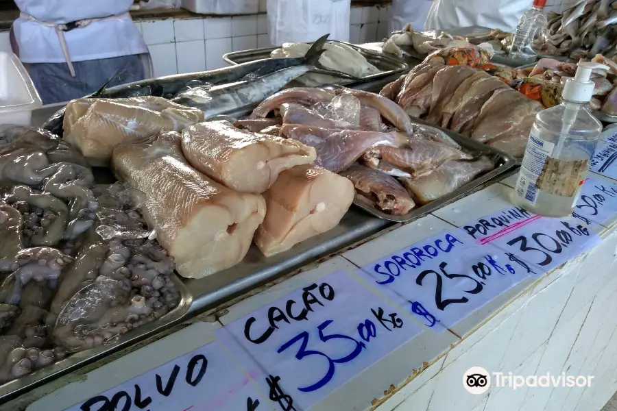 Mercado Municipal de Peixe