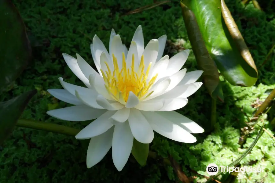 Jardín Botánico La Almunya del Sur