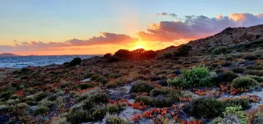 Arbo valley Ξενοδοχεία στην πόλη Monticello