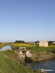 La Ferme des Baleines