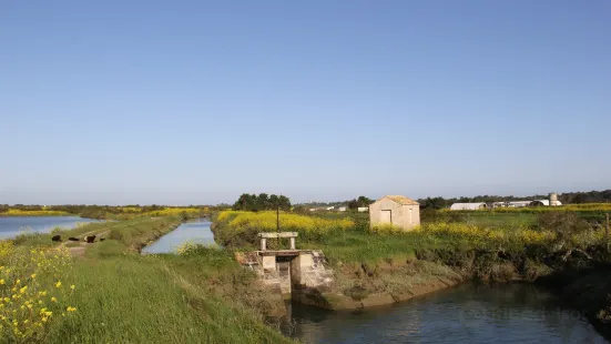 La Ferme des Baleines