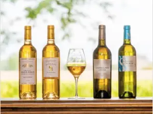 Château Sigalas Rabaud 1er Grand Crû classé Sauternes