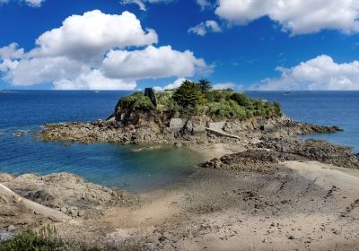 Ile de la Contesse