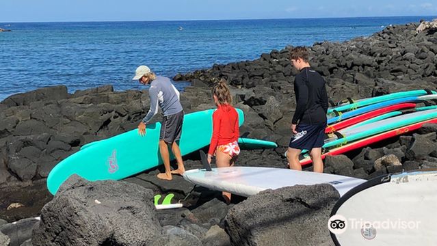 Surfer Bear Hawaii Surf Lessons
