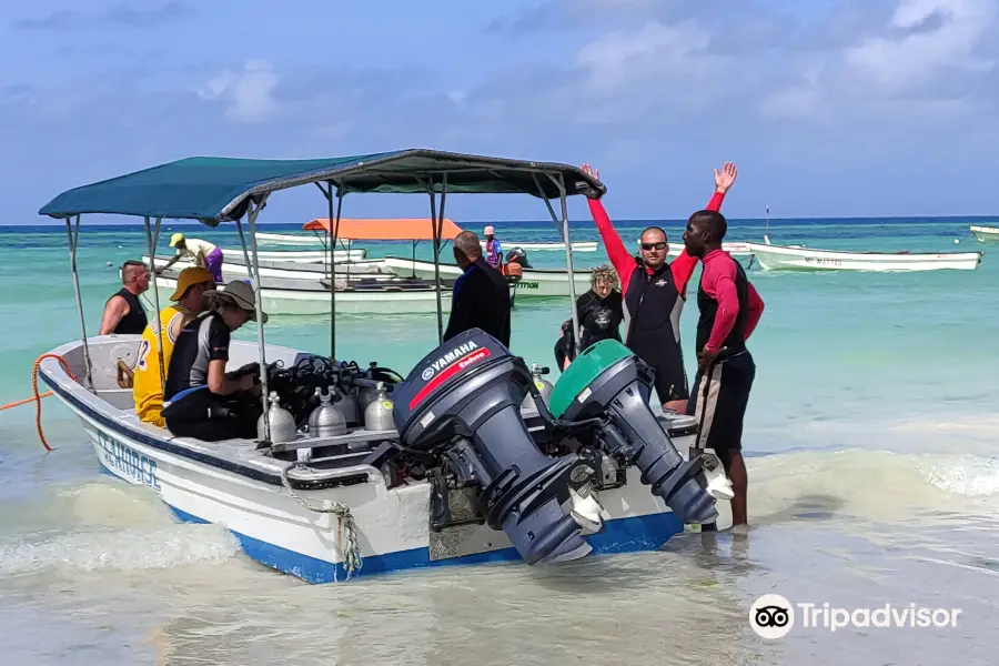 Dive Time Zanzibar