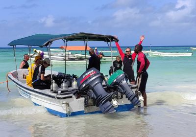 DiveTime Zanzibar Dive Center