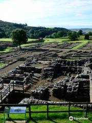 Vindolanda