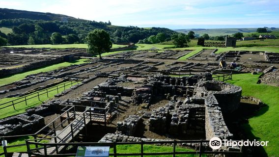 Vindolanda