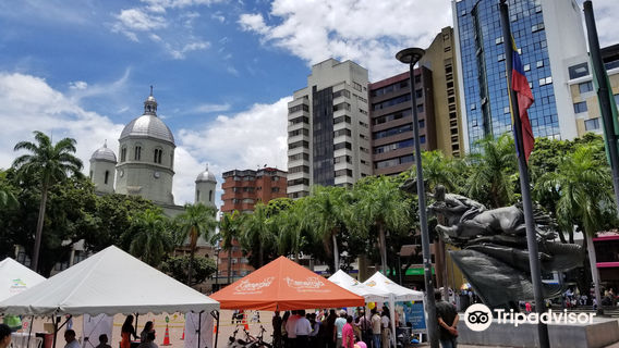 Bolívar plaza, Pereira