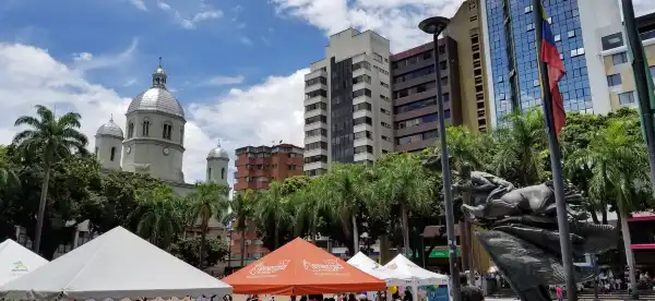 Pereira