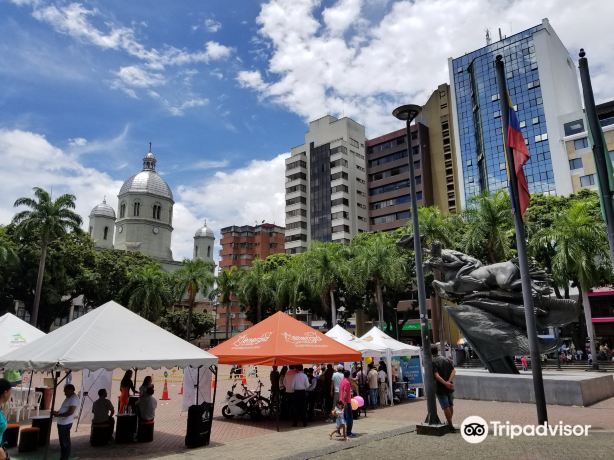 Bolívar plaza, Pereira