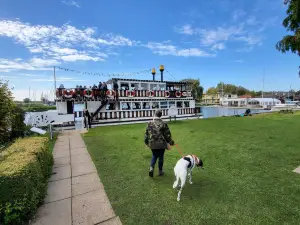 Southern Comfort Mississippi Paddle Boat