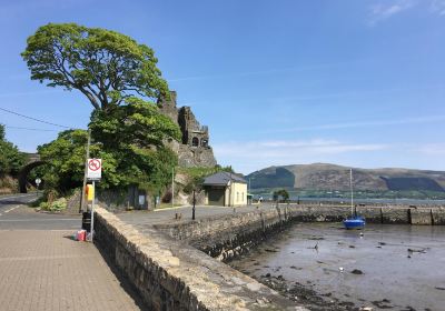 Carlingford Marina