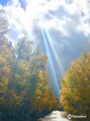 Boreas Pass Road