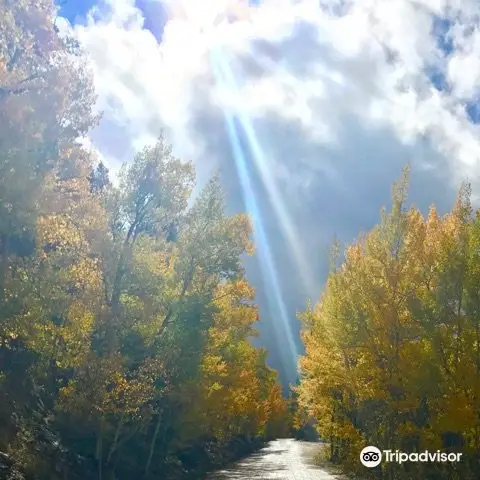 Boreas Pass Road