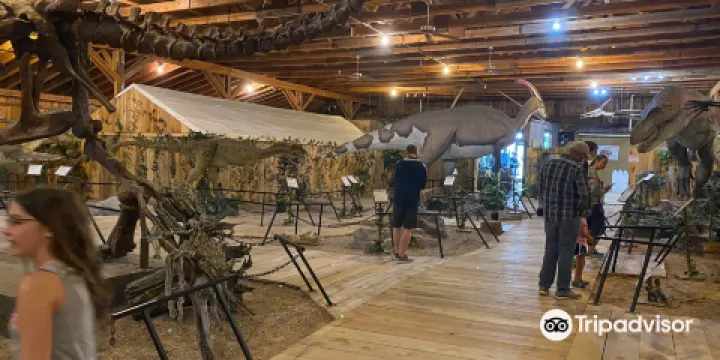 Dinosaur Museum
