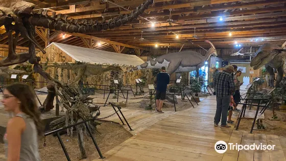 Dinosaur Museum