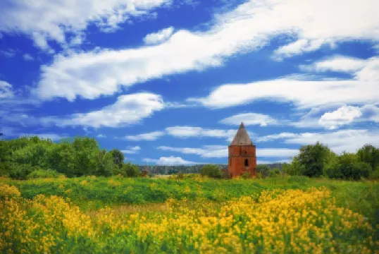 Орловский район