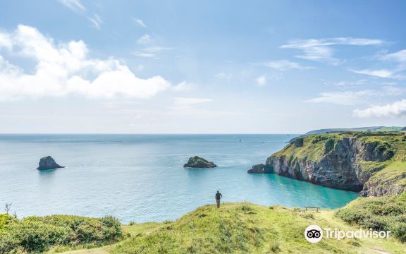 Berry Head National Nature Reserve