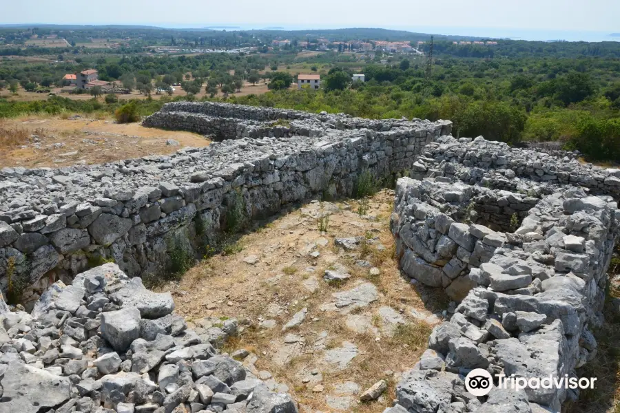 Monkodonja Hill Fort