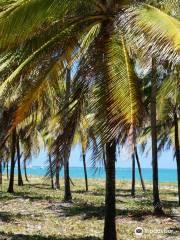 Praia De Maracaipe